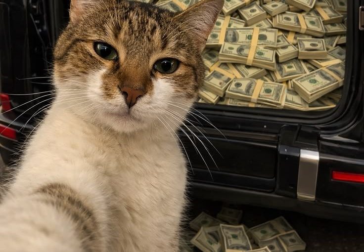Strategi Main Slot Depo 5K untuk Pengalaman Lebih Maksimal